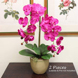 Artificial Real Touch Silk Phalaenopsis Orchid 9 Flowers 3 Buds- 34" (2 Pieces) Orchid artificialflowersdotcom   