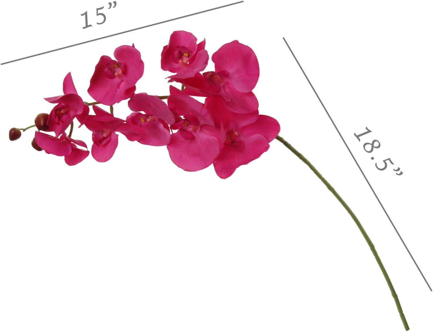 Artificial Real Touch Silk Phalaenopsis Orchid 9 Flowers 3 Buds- 34" (2 Pieces) Orchid artificialflowersdotcom   