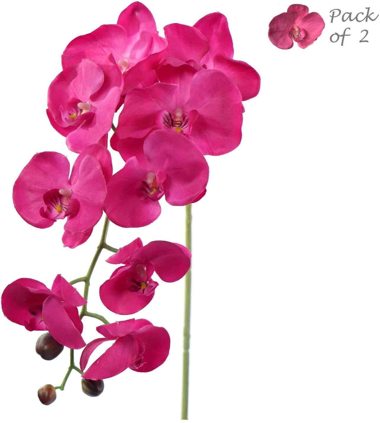 Artificial Real Touch Silk Phalaenopsis Orchid 9 Flowers 3 Buds- 34" (2 Pieces) Orchid artificialflowersdotcom   