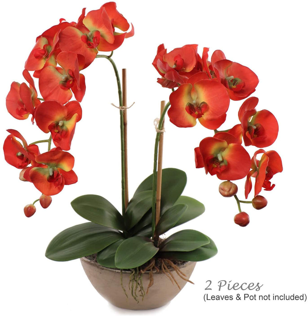Artificial Real Touch Silk Phalaenopsis Orchid 9 Flowers 3 Buds 34