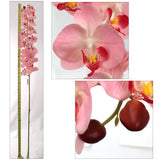 Artificial Real Touch Silk Phalaenopsis Orchid 16 Flowers- 49” Orchid artificialflowersdotcom   