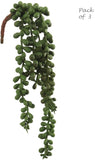 Artificial Succulent String of Pearls Pack of 3 Succulent artificialflowersdotcom   