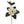 Artificial Real Touch Magnolia Flower Stem-27" - 
    White