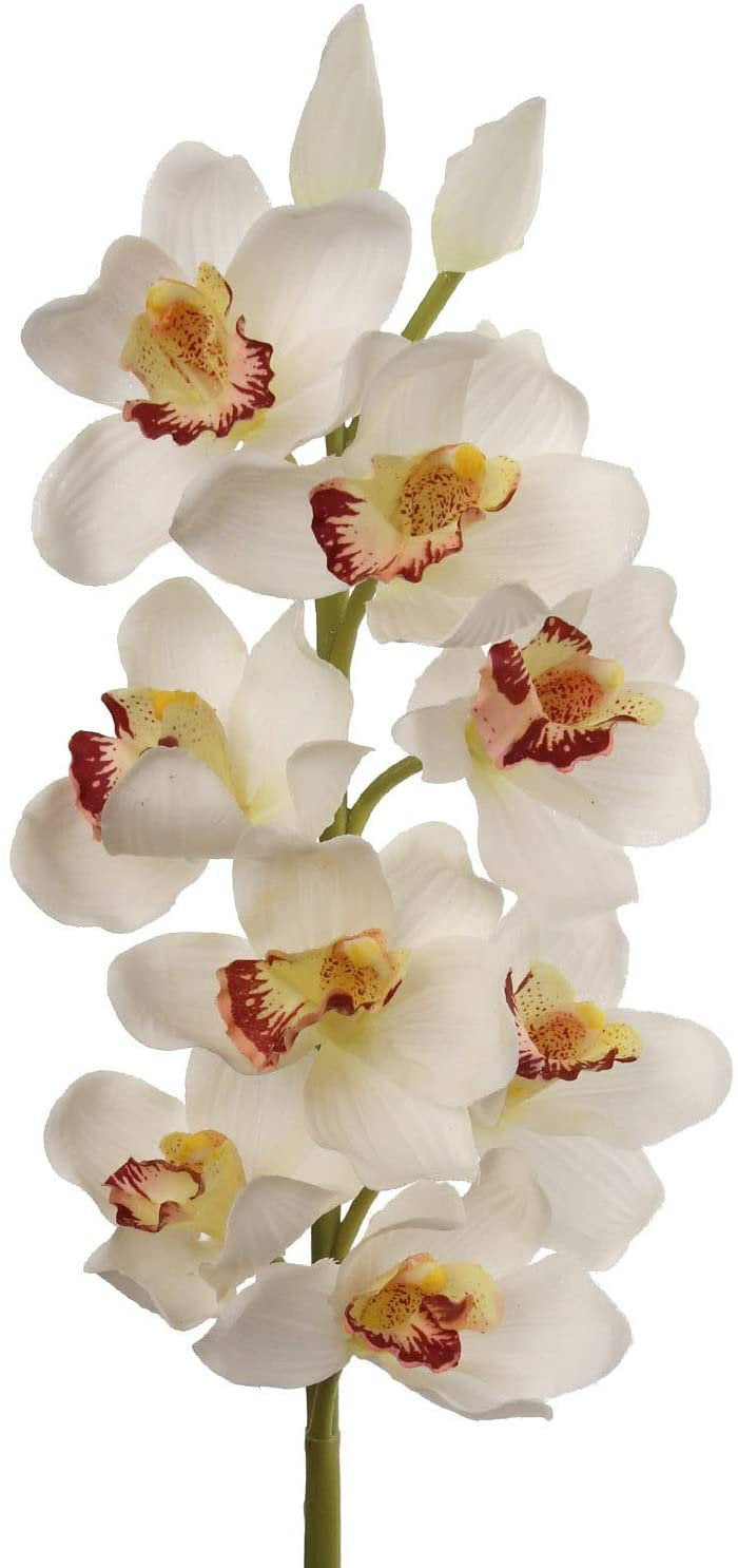 Artificial Real Touch Silk Cymbidium Orchid 10 Flowers -30" Orchid artificialflowersdotcom   