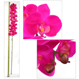 Artificial Real Touch Silk Phalaenopsis Orchid 16 Flowers- 49” Orchid artificialflowersdotcom   