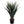 Real Agave Plant with 30 Leaves in Pot - 31.5" - 
    Green