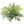 Faux Leather Fern Bush with 7 Sprays - 28" Wide - 
    Green