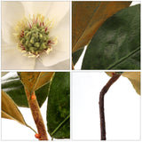 Artificial Magnolia Pick 12" Magnolia Pick artificialflowersdotcom   
