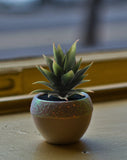 Artificial Aloe Succulent- 6" Succulent artificialflowersdotcom   