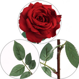 3 Premium Artificial Open Roses RED Color 30” Artificial Flowers ArtificialFlowers   