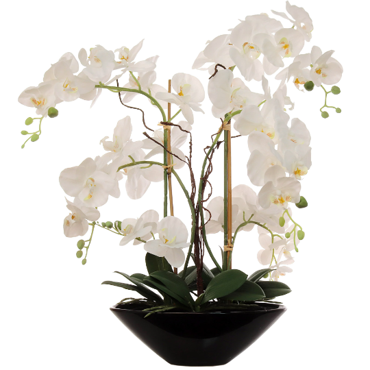 Artificial 24.8" Phalaenopsis Orchid in Black Pot - Realistic, Lifelike Silk Flower Plant Decor - Easy Maintenance Home & Office Decoration Orchid ArtificialFlowers   