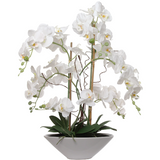 Artificial 24.8" Phalaenopsis Orchid in White Pot - Realistic, Lifelike Silk Flower Plant Decor - Easy Maintenance Home & Office Decoration Orchid ArtificialFlowers   