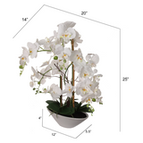 Artificial 24.8" Phalaenopsis Orchid in White Pot - Realistic, Lifelike Silk Flower Plant Decor - Easy Maintenance Home & Office Decoration Orchid ArtificialFlowers   