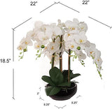 20" Phalaenopsis Orchid Floral Arrangement - 15" Diameter Black Vase, Lifelike Artificial Flowers, Elegant Home & Office Decor, Perfect Gift, Premium Quality Orchid ArtificialFlowers   