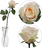 Artificial Silk Rose Bud Champagne Color 18” Great for Home Décor, Office and Wedding Design Lifelike Flower Rose Stem ArtificialFlowers   