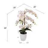 25 Inch Phalaenopsis Orchid Floral Arrangement in Decorative White Ceramic Vase. 17” Diameter Phalaenopsis Foliage ArtificialFlowers   