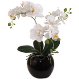 18 Inch Phalaenopsis Orchid Floral Arrangement in Decorative Black Ceramic Vase. 14 Inch Diameter. Orchid ArtificialFlowers   