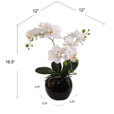 18 Inch Phalaenopsis Orchid Floral Arrangement in Decorative Black Ceramic Vase. 14 Inch Diameter. Orchid ArtificialFlowers   