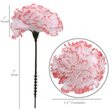Artificial Flowers 5" Pink Magenta Carnation - 30pcs Set, 3.5" Diameter - Lifelike, Easy-to-Style Decor - Ideal for Weddings, Home, & DIY Projects Carnation Artificial Flower ArtificialFlowers   