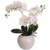 18 Inch Phalaenopsis Orchid Floral Arrangement in Decorative White Ceramic Vase. 14 Inch Diameter. Orchid ArtificialFlowers   